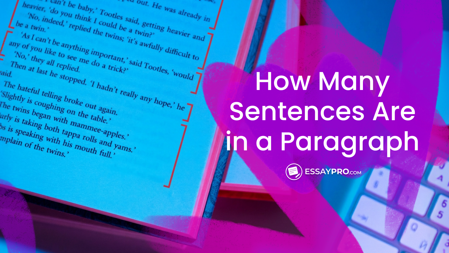 How Many Sentences Are in a Paragraph